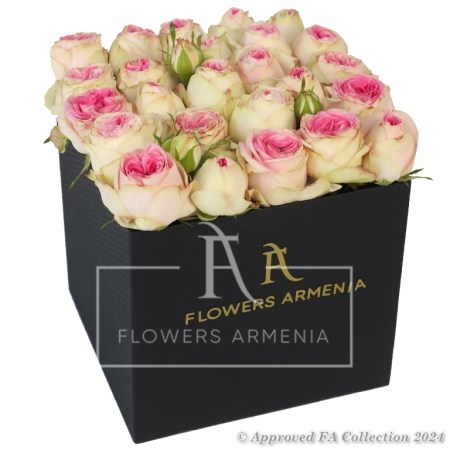 Elegant Gift