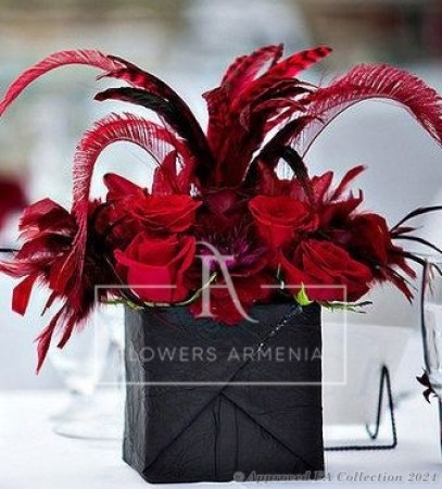 Feathery Red