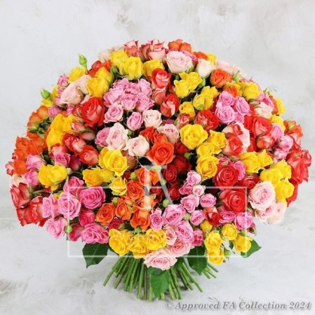 A burst of color