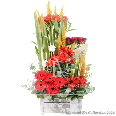 Basket in Bloom