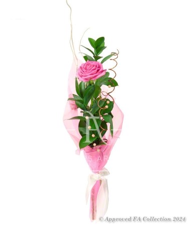 A Single Pink Rose