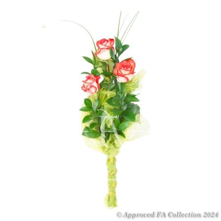 Romance of Roses