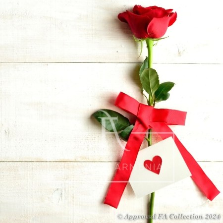 Just for Her