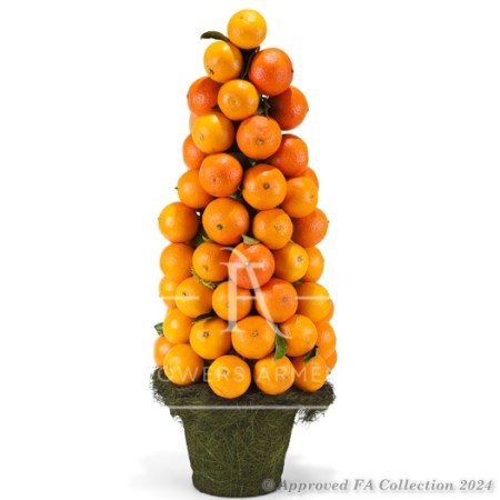 Mandarin Tree