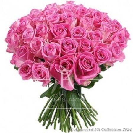 Awesome Pink Roses