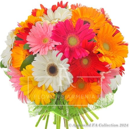 Rainbow with Gerberas