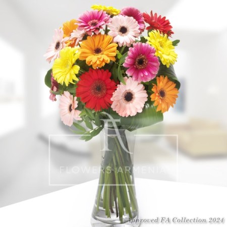 Gerbera Wishes