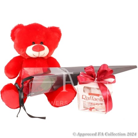 Red Teddy with Rafaello