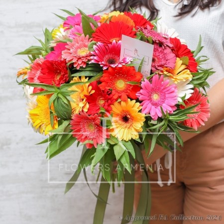 Gerbera Bouquet
