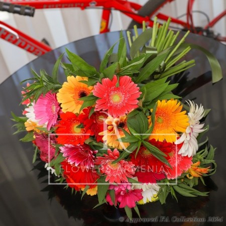 Gerbera Bouquet