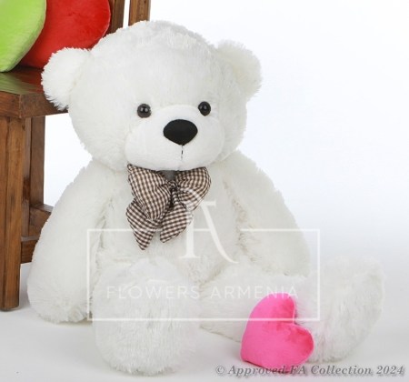 Teddy in Love