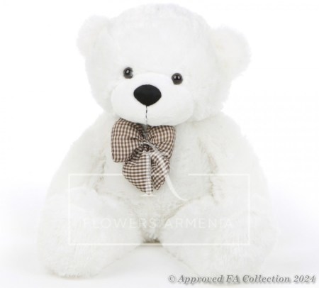 White Teddy