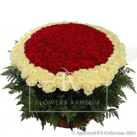 Deluxe Basket of 501 Roses