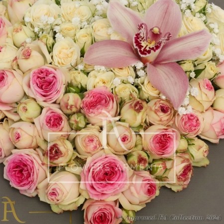 Devote a Heart