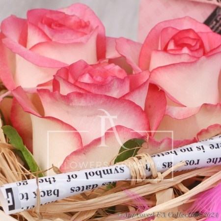 Pink Heart for Her