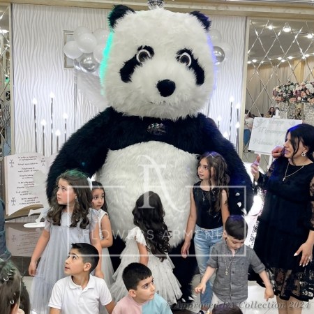 The Big Panda