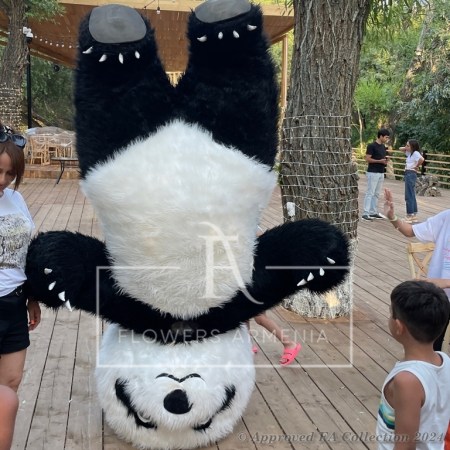 The Big Panda
