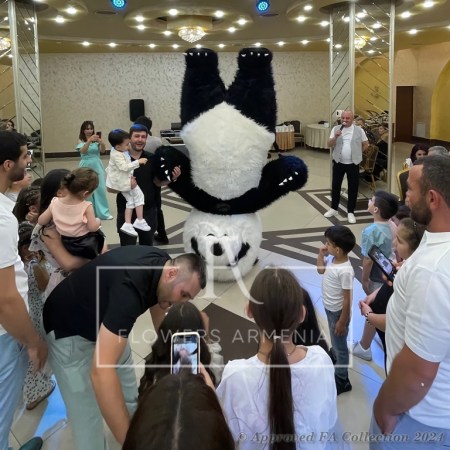 The Big Panda
