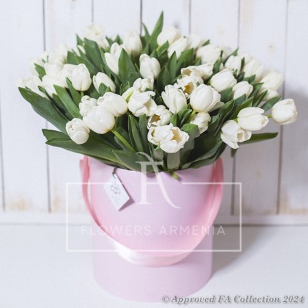 White tulips in box