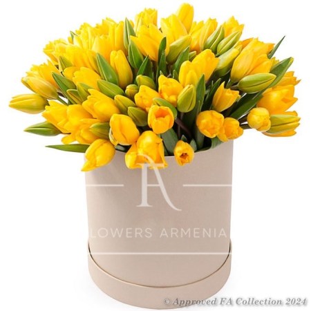 77 Sunny Yellow Tulips