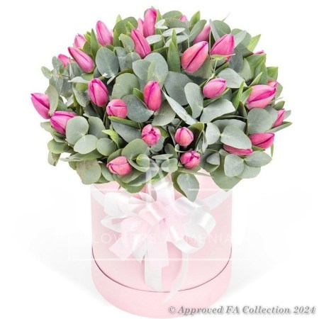 Serenity Tulips