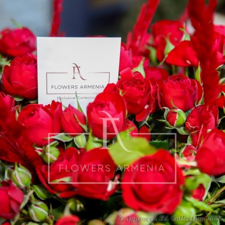 Passionate Red Roses