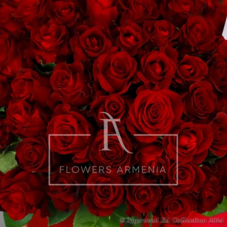 Scarlet Splendor
