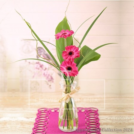 Pink Piece of Delight