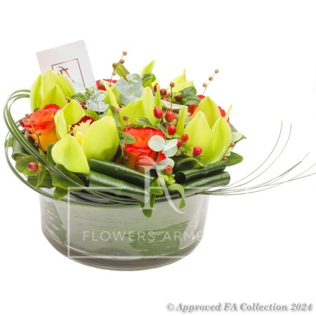 Orchid Arrangement