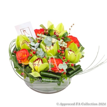 Orchid Arrangement
