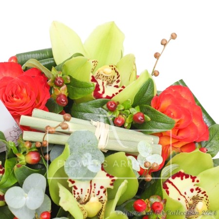 Orchid Arrangement
