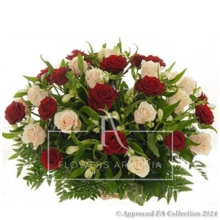 Red & White Miracle