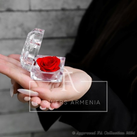 The Single Eternal Red Rose