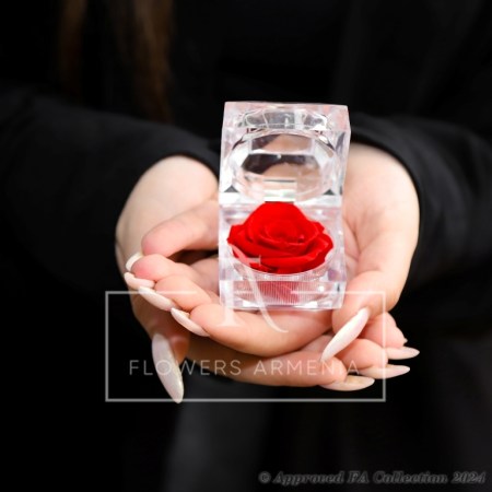 The Single Eternal Red Rose