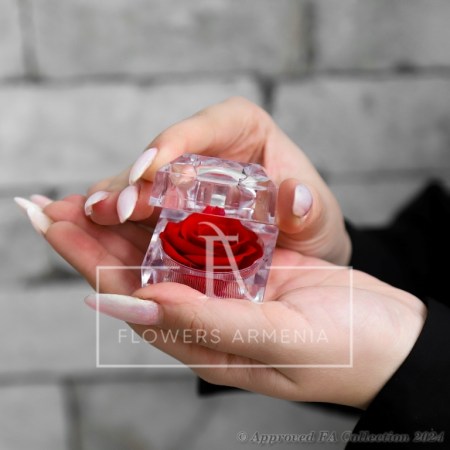 The Single Eternal Red Rose