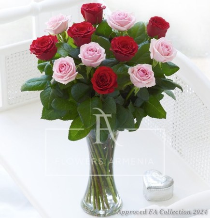 Red and pink roses