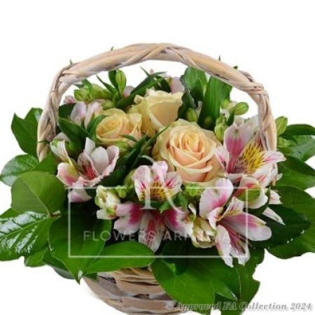 Basket Spring