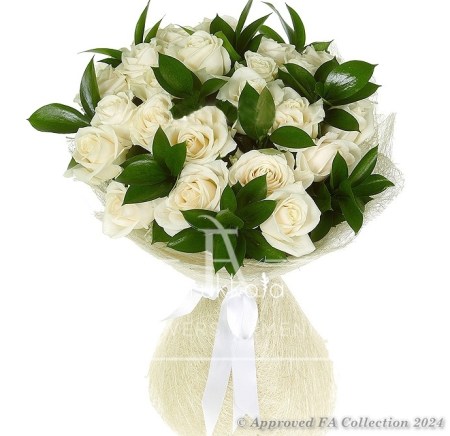 White swan