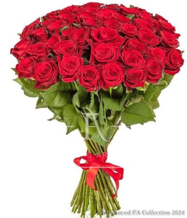Luxury Roses
