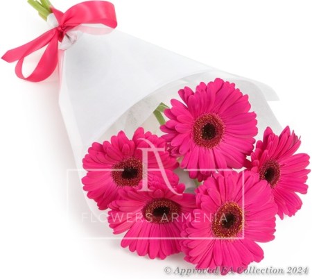 Pink miracle
