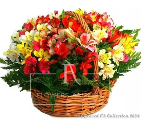 Basket with alstroemerias