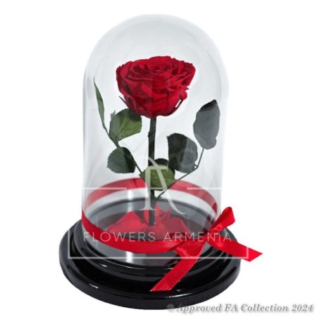 Eternal Rose