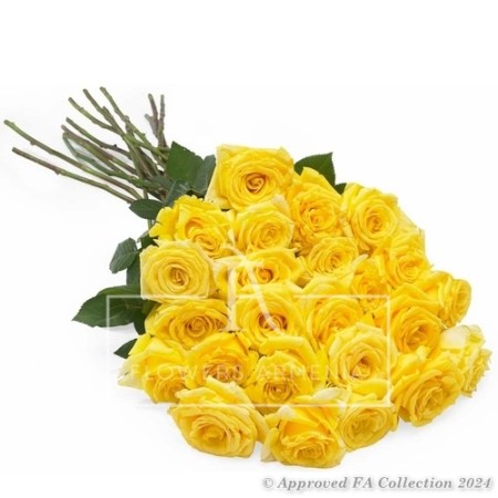 25 Assorted Yellow Roses