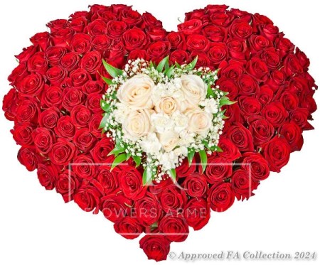 Love is Splendor