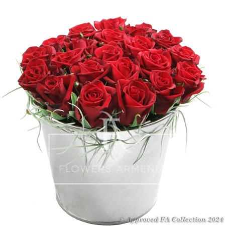 Box of red Roses