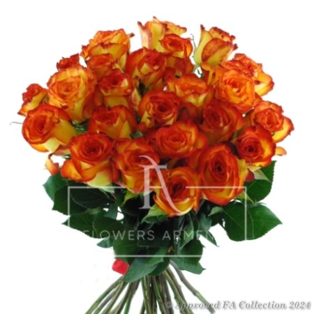 Yellow Orange Roses