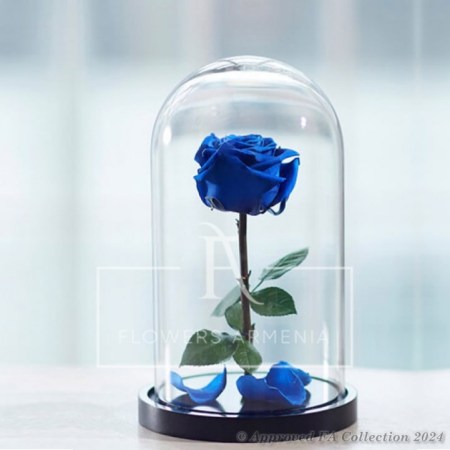 Eternal Blue Rose