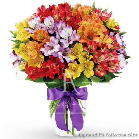 Celebration with 35 Alstromeria