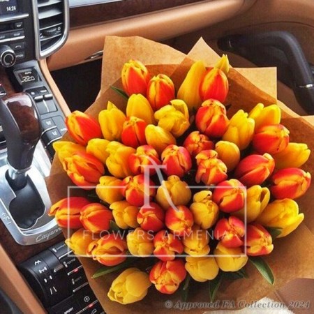 Stylish Sunny Tulips