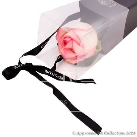 Single Pink Rose